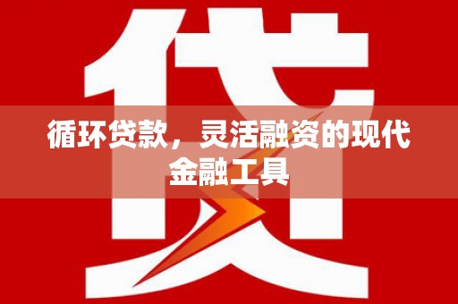 磁县循环贷款，灵活融资的现代金融工具