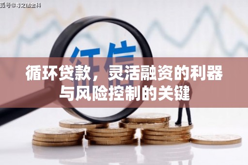 头份循环贷款，灵活融资的利器与风险控制的关键