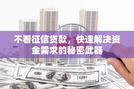 乐至不看征信贷款，快速解决资金需求的秘密武器