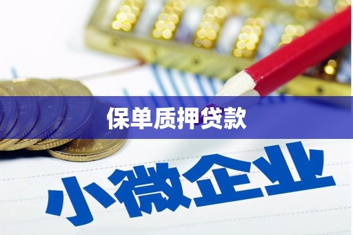 福海保单质押贷款
