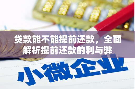 武陵源贷款能不能提前还款，全面解析提前还款的利与弊