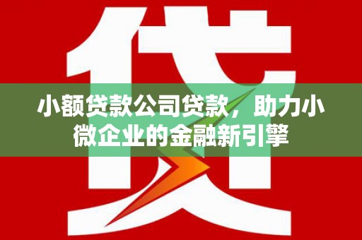 云林小额贷款公司贷款，助力小微企业的金融新引擎