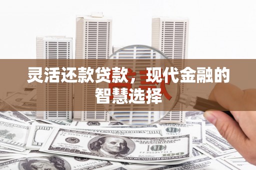 金安灵活还款贷款，现代金融的智慧选择