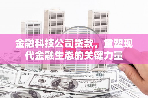 南宁金融科技公司贷款，重塑现代金融生态的关键力量