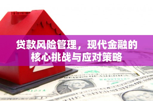 洛南贷款风险管理，现代金融的核心挑战与应对策略
