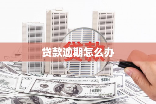 浦江贷款逾期怎么办