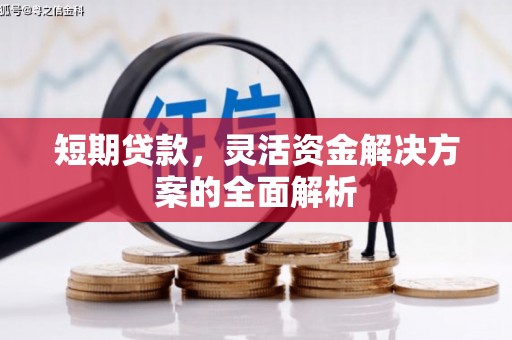 应城短期贷款，灵活资金解决方案的全面解析