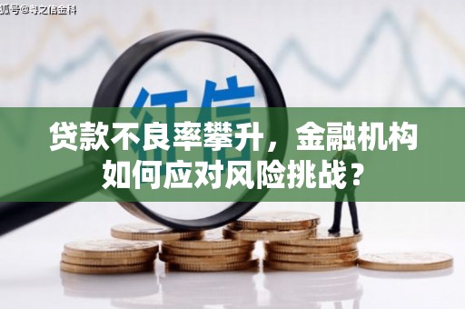 丰润贷款不良率攀升，金融机构如何应对风险挑战？