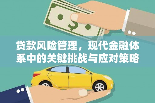 茂林贷款风险管理，现代金融体系中的关键挑战与应对策略