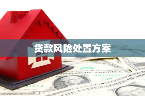 都江堰贷款风险处置方案