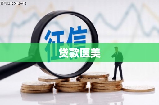 吴起贷款医美