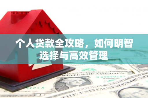 临翔个人贷款全攻略，如何明智选择与高效管理