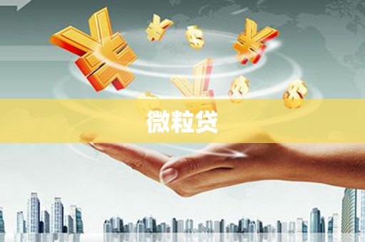 东引微粒贷