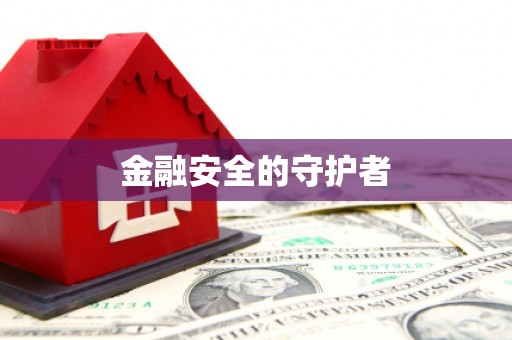阜城金融安全的守护者