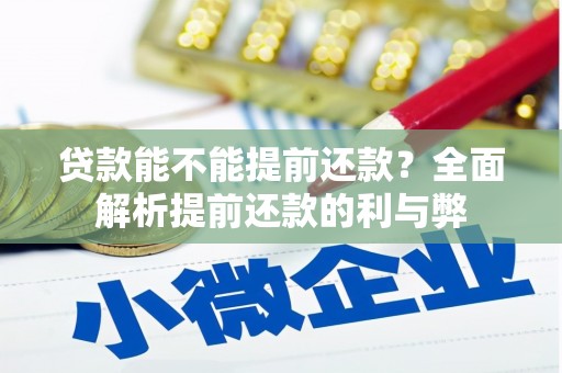 盐湖贷款能不能提前还款？全面解析提前还款的利与弊