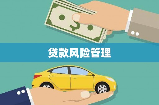 武鸣贷款风险管理