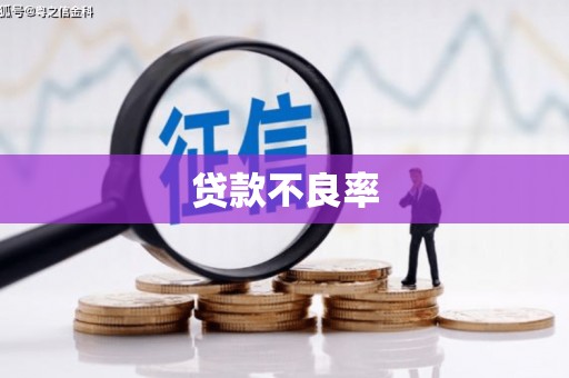 卧龙贷款不良率